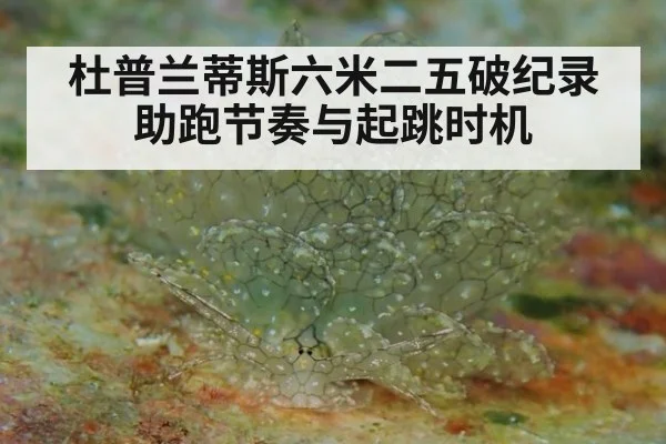 杜普兰蒂斯六米二五破纪录 助跑节奏与起跳时机